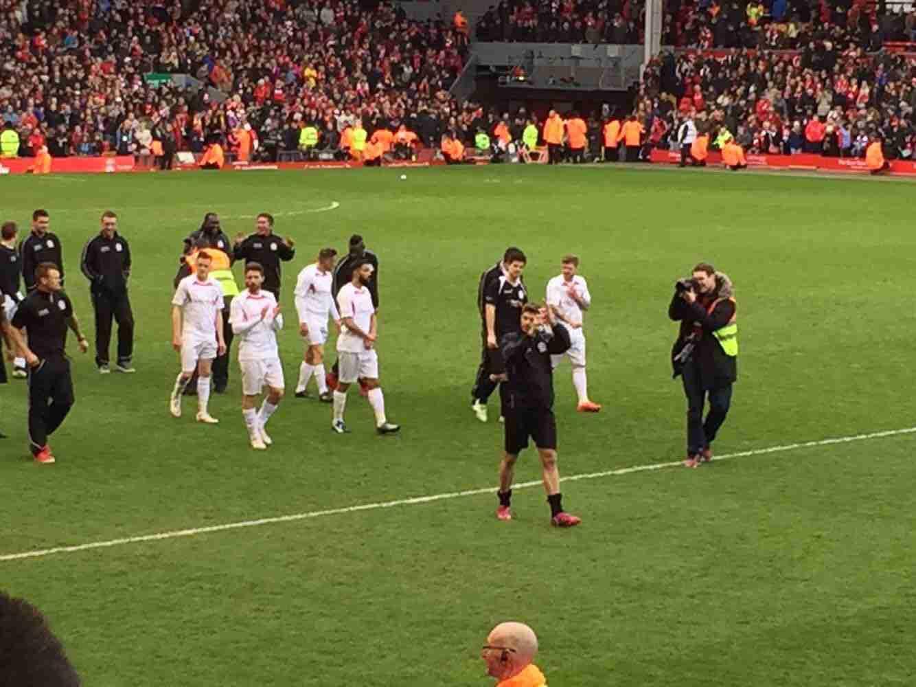 由此可见 由此可见