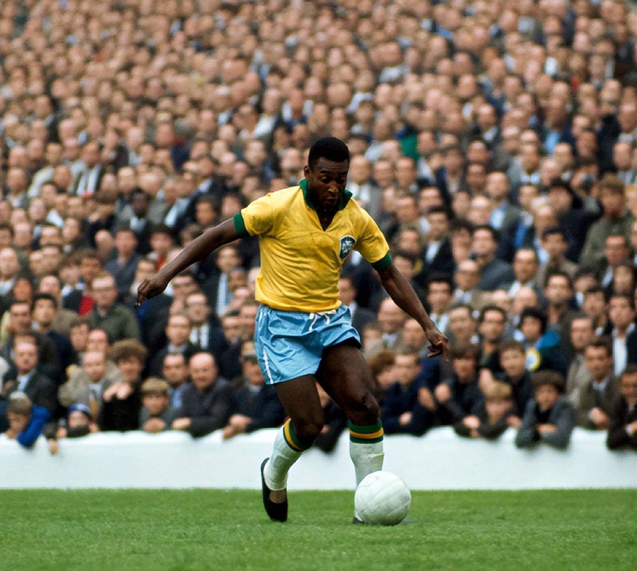 这恰好是夸 这恰好是夸